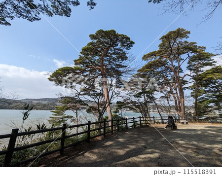 日本三景のひとつ、松島海岸にある福浦島から眺める松島の絶景 日本三景のひとつ、松島海岸にある福浦島から眺める松島の絶景 115518391