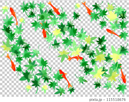 緑のもみじと赤い金魚 115518676