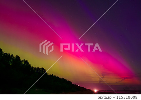 A stunning aurora illuminates the night sky over Jurmala, Latvia, with hues of pink, purple, and green. A dense forest silhouette contrasts the vibrant colors. 115519009