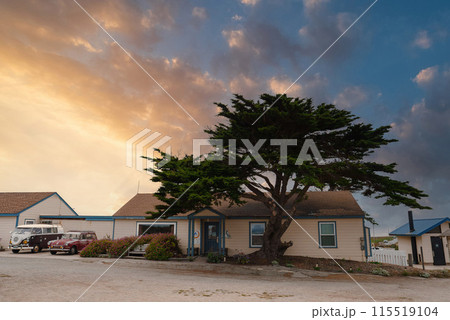 Serene coastal scene in California, likely near 17 Mile Drive. Focus on large tree by house with blue trim. Vibrant sky at sunrise or sunset. Peaceful ambiance of Pacific Coast Highway communities. Serene coastal scene in California, likely near 17 Mile Drive. Focus on large tree by house with blue trim. Vibrant sky at sunrise or sunset. Peaceful ambiance of Pacific Coast Highway communities. 115519104