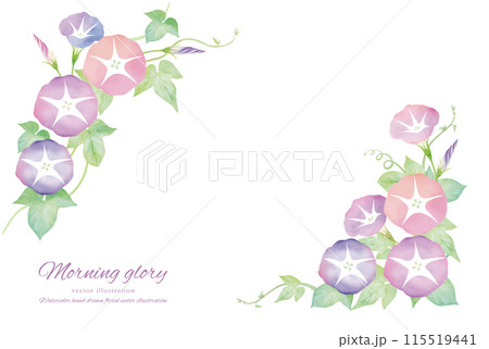 水彩タッチのピンクの朝顔のフレーム 水彩タッチのピンクの朝顔のフレーム 115519441