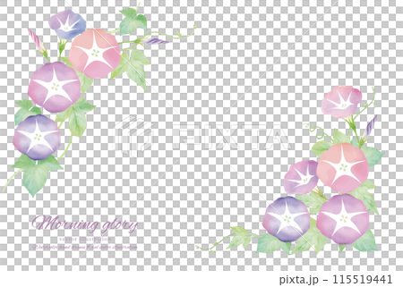 水彩タッチのピンクの朝顔のフレーム 水彩タッチのピンクの朝顔のフレーム 115519441