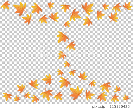 落下的楓葉,楓樹楓的插圖 落下的楓葉,楓樹楓的插圖 115520426