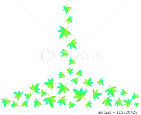 舞い落ちるもみじの葉のイラスト 楓 舞い落ちるもみじの葉のイラスト 楓 115520428