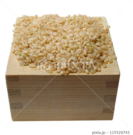 玄米　升に摺り切りいっぱい　写真切り抜き 115520743