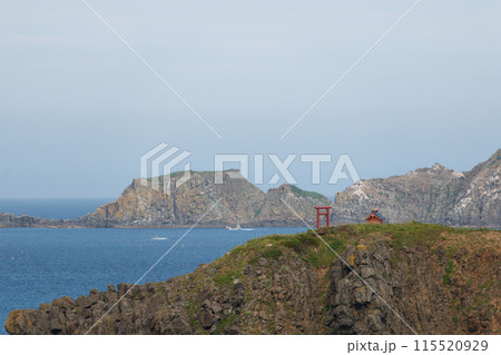 礼文島の海岸の夏の景色 115520929