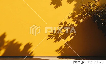 夏をイメージした背景 115521179