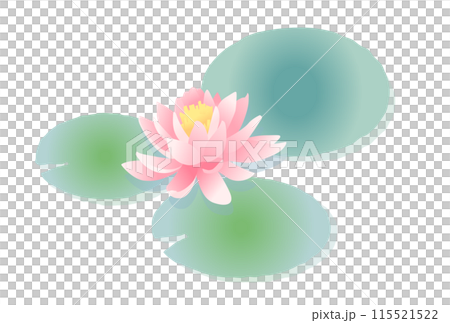 ピンクの睡蓮のイラスト ピンクの睡蓮のイラスト 115521522