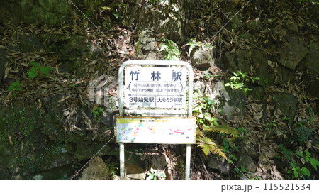 愛岐トンネル群_竹林駅票 115521534