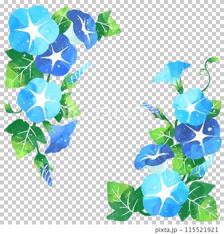 藍色牽牛花的卡通插圖， 115521921