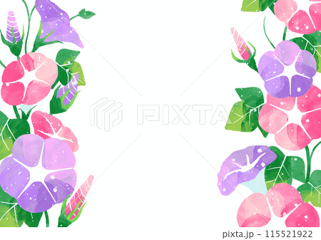 ピンクと紫の朝顔の白背景のカードイラスト 115521922