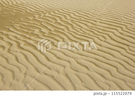 春の鳥取砂丘とその紋様 鳥取県 鳥取砂丘 115522079