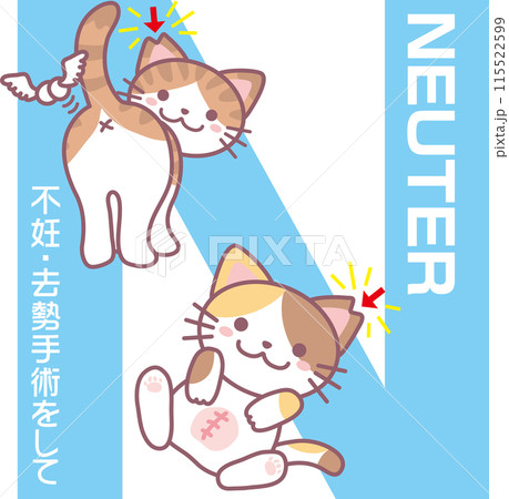 TNR_猫捕獲機改訂版_N_NEUTER_不妊去勢手術をして_雄猫雌猫ともに手術_桜耳カット 115522599