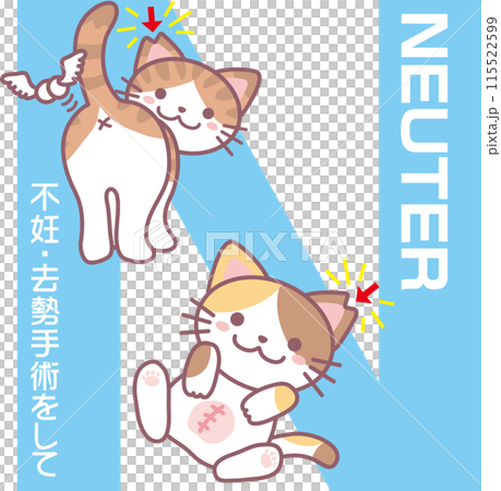 TNR_Cat trapping machine revised version_N_NEUTER_Spay and neuter surgery_Surgery for both male and female cats_Cherry-blossom ear cut 115522599