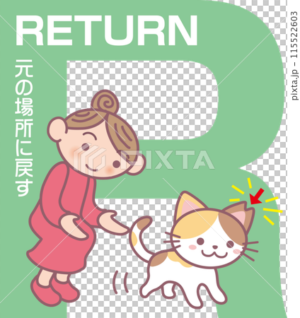 TNR_Cat trap revised version_R_RETURN_return to original location_Tortoiseshell cat_cherry blossom ear cut TNR_Cat trap revised version_R_RETURN_return to original location_Tortoiseshell cat_cherry blossom ear cut 115522603