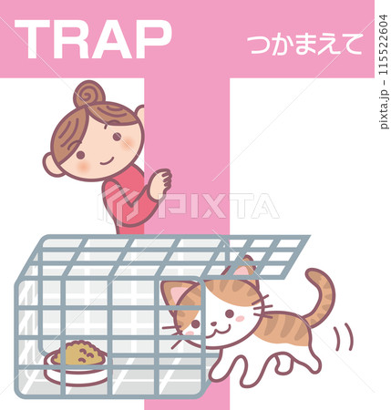 TNR_猫捕獲機改訂版_T_TRAP_つかまえて_キジ猫が捕獲機に入る様子 TNR_猫捕獲機改訂版_T_TRAP_つかまえて_キジ猫が捕獲機に入る様子 115522604