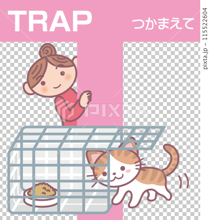 TNR_Cat trap revised version_T_TRAP_Catch_A pheasant cat entering the trap TNR_Cat trap revised version_T_TRAP_Catch_A pheasant cat entering the trap 115522604