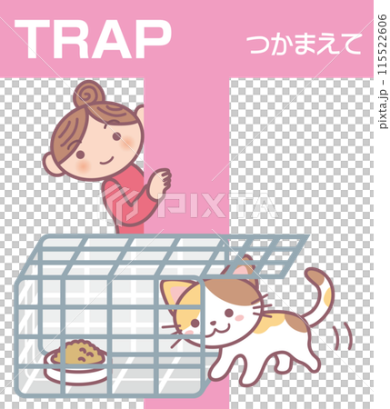 TNR_猫捕獲機改訂版_T_TRAP_つかまえて_ミケ猫が捕獲機に入る様子 TNR_猫捕獲機改訂版_T_TRAP_つかまえて_ミケ猫が捕獲機に入る様子 115522606