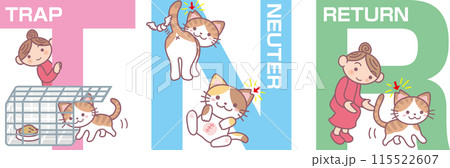 改訂版TNRイラスト_キジ猫メイン_英語表記のみ 改訂版TNRイラスト_キジ猫メイン_英語表記のみ 115522607