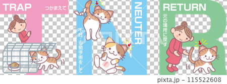 Revised TNR illustrations_Pheasant cats as the main focus_Japanese text included 115522608