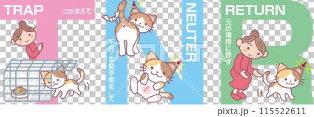 改訂版TNRイラスト_三毛猫メイン_日本語表記あり 115522611