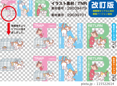 TNR改訂版セット 115522614