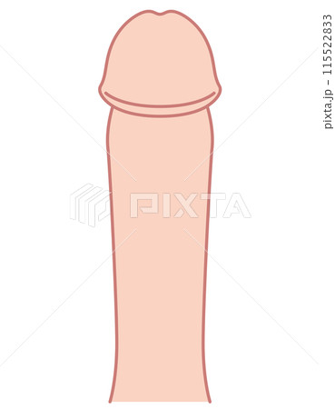 男性生殖器 医療 男性生殖器 医療 115522833