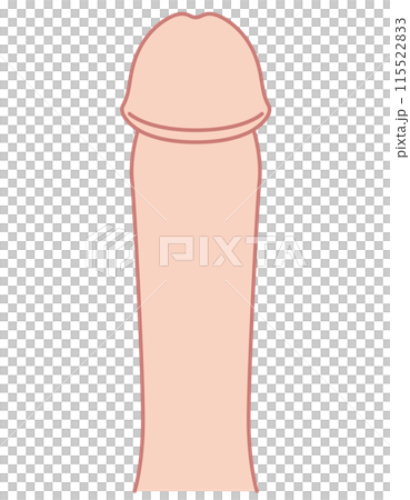 男性生殖器 医療 男性生殖器 医療 115522833