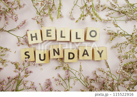Top view of Hello Sunday alphabet letters with flowers decoration on pink background 115522916