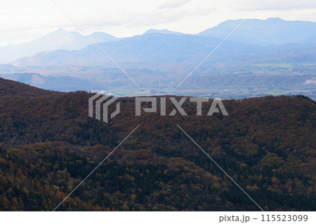 日勝峠の紅葉 115523099