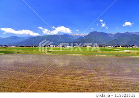 池田町より常念岳～有明山／燕岳方面を望む(長野県池田町)【2024.6】 115523518