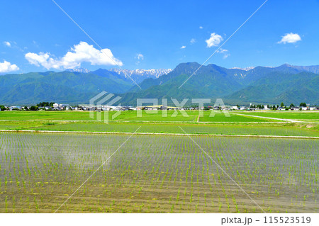 池田町より常念岳~有明山/燕岳方面を望む(長野県池田町)【2024.6】 池田町より常念岳~有明山/燕岳方面を望む(長野県池田町)【2024.6】 115523519