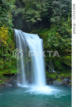 慈恩の滝 115523896