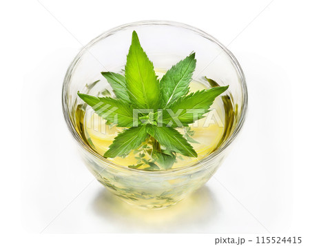 Lemon Verbena Tea Refreshing lemon verbena tea in a clear glass with verbena leaves and 115524415