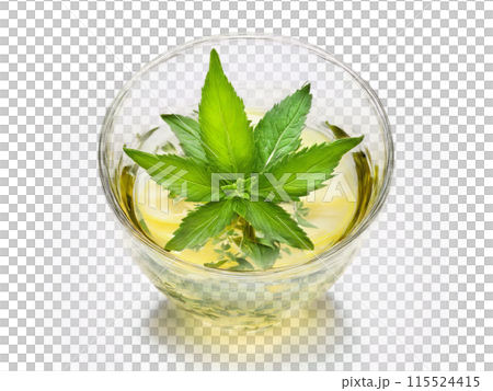 Lemon Verbena Tea Refreshing lemon verbena tea in a clear glass with verbena leaves and 115524415
