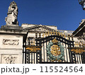 豪華な宮殿と門 115524564