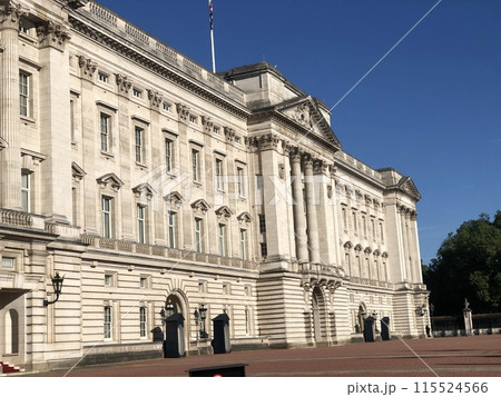 豪華な宮殿と門 115524566