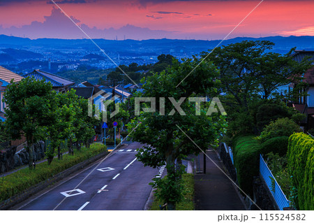 奈良市街 平城山の夕景 山際を朱色に染めながら生駒山系へ沈んで行った夕日③ 奈良市街 平城山の夕景 山際を朱色に染めながら生駒山系へ沈んで行った夕日③ 115524582