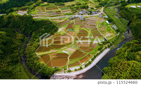ドローンで撮影した棚田 ドローンで撮影した棚田 115524660