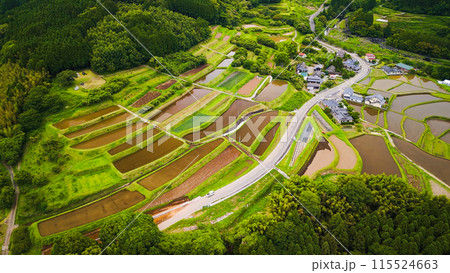 ドローンで撮影した棚田 115524663