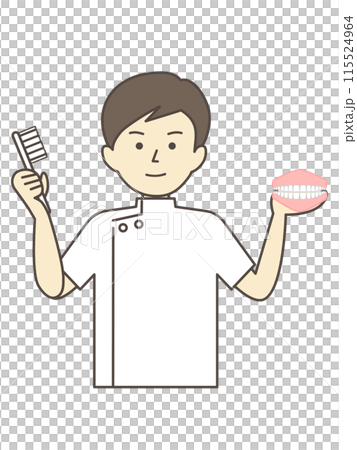 一位男性牙醫用牙齒模型和牙刷解釋刷牙 115524964