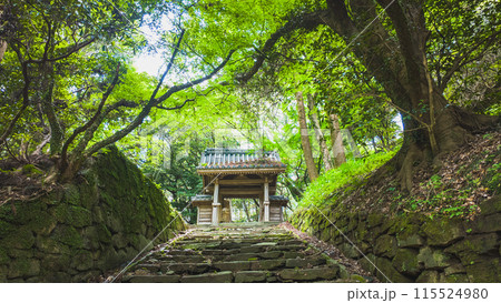 神社の門と石階段の写真 115524980