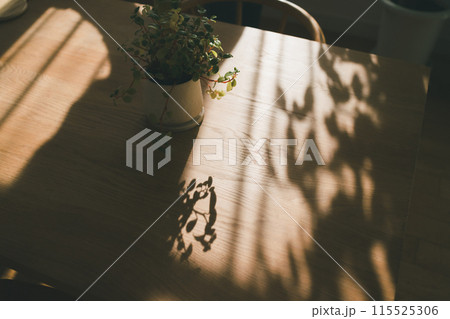 ダイニングテーブルに観葉植物 ダイニングテーブルに観葉植物 115525306