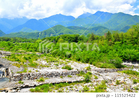 甲斐駒大橋／大武川より上流方向を望む(山梨県北杜市)【2024.6】 115525422