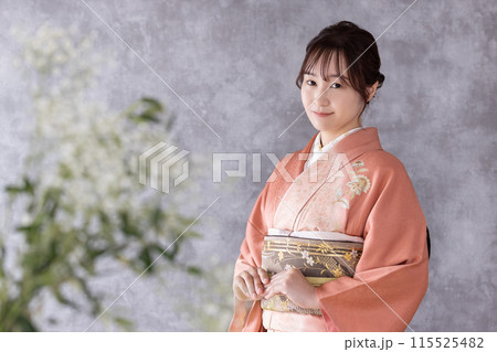 訪問着の着物を着た女性 115525482