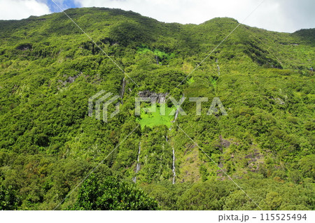 フランス海外県レユニオン島の中心に位置する世界遺産のサラジー圏谷の断崖絶壁を流れる花嫁のベールの滝 115525494