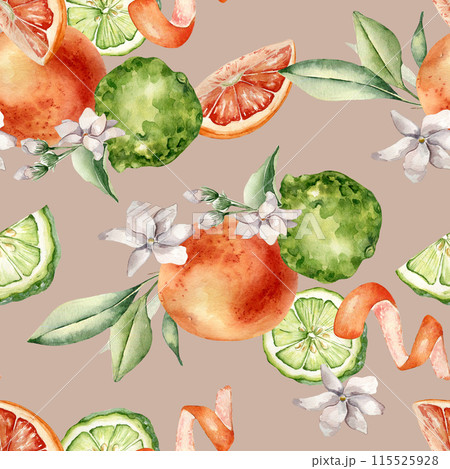 Jasmine flowers with citrus fruits grapefruit and bergamot watercolor seamless pattern isolated. Hand drawn summer plants orange and green colors in botanical sketch style for wrapping paper, textile 115525928