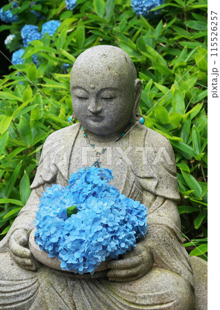 初夏 鎌倉明月院(あじさい寺)のお地蔵さま紫陽花を抱く 初夏 鎌倉明月院(あじさい寺)のお地蔵さま紫陽花を抱く 115526257