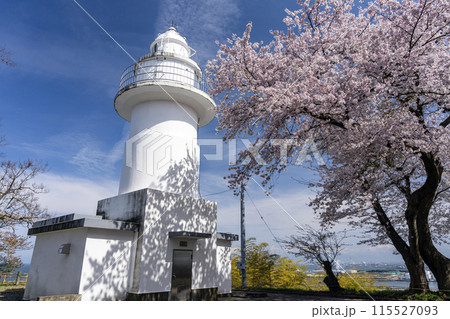 桜と灯台 岩崎ノ鼻灯台 桜と灯台 岩崎ノ鼻灯台 115527093