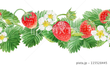 Red strawberry seamless border. Cut in half and whole berries. Hand drawn watercolor ornament. Delicious food art, fresh botanical realistic painting. Summer berry banner for menu, packaging, prints 115528445